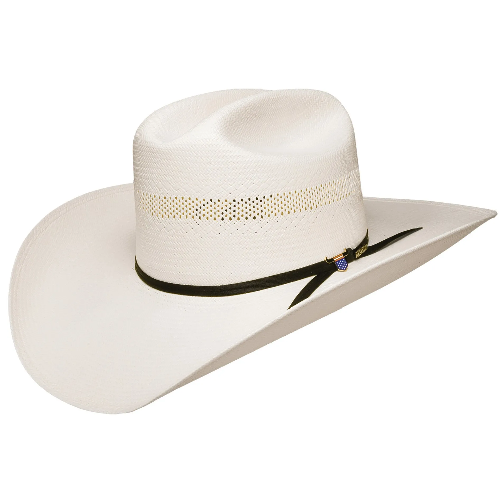 10X US BIG MONEY STRAW HAT