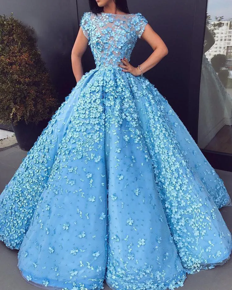 Ball Gown Blue Prom Dresses Floral Lace Bateau Long Cap Sleeve Quinceanera Dresses