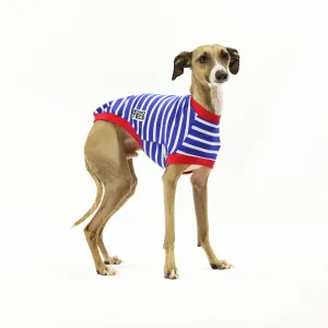 Blue Breton Italian Greyhound Sleeveless Hound-Tee